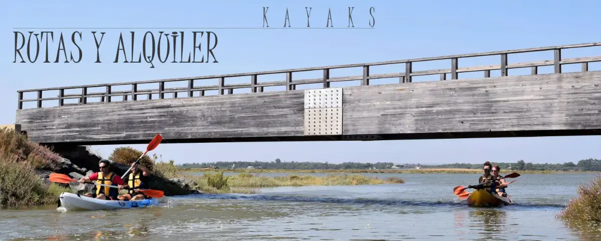 Alquiler de Kayak en la Flecha del Rompido